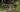 Wilier USMA SLR hardtail mountain bike 29 inch frame and fork in forest
