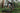 Wilier USMA SLR cross-country mountain bike on a rocky forest descent