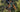 Wilier USMA SLR hardtail cross-country mountain bike being ridden on a forest trail