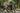 Aventon Aventure 3 Step-Through parked lifestyle image