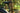 Aventon Aventure 3 Step-Through suspension seatpost feature graphic