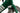 Cinelli Pressure II Dandy’s Racing Green, drivetrain and frame detail